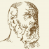 Disegno di Socrate